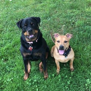 Meet your Posher, Sydney